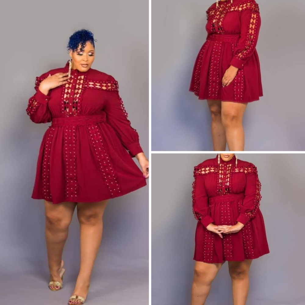 Chic Long Sleeve Burgundy Dress